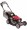 Honda Self-Propelled Push Lawn Mower 190cc Honda GCV Engine, 21in. Deck, Model# HRX217VKA