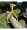 Roughneck Lifting Tongs 36in. Jaw Opening, 3,300-Lb. Capacity