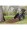 Strongway Garden Cart 400lb Capacity, 14 Cu. Ft., 48in.L x 29in.W