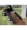 Strongway Steel ATV Trailer 1200 Lb Capacity, 17 Cu. Ft.