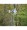 Outdoor Water Solutions Windmill Aerator 12Ft., Galvanized, Model# AWS0011