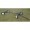 Farm Tuff Utility Wagon 1200Lb Capacity, Model# 04282