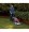 Honda Self Propelled Push Lawn Mower 160cc Honda GCV Engine, 21in. Deck, Model# HRR216K9VYA