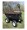 Strongway Poly Garden Wagon 1200Lb Capacity, 39in.L x 25in.W