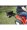 Strongway Poly Garden Wagon 1200Lb Capacity, 39in.L x 25in.W