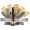 Dewalt 12 In. Sliding Compound Miter Saw Model DWS780