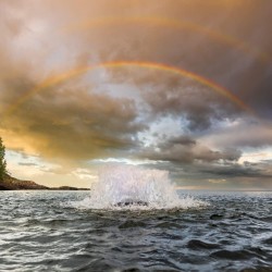 Kasco High Oxygen Pond Aerator 3/4 HP, 240V, 150-Ft. Power Cord, Model# 3400HAF+2759