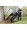 Strongway Garden Cart 400lb Capacity, 14 Cu. Ft., 48in.L x 29in.W